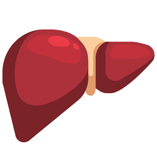 Liver Fibrosis